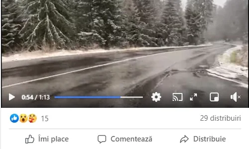 ninsoare 0 jpeg