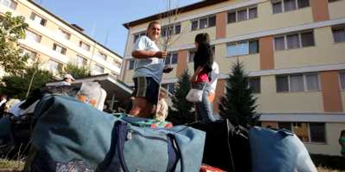 Complexul Studenţesc seamănă cu un stup în aceste zile