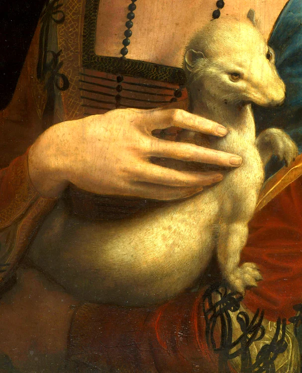 Hermina, profimedia 1015762049 jpg