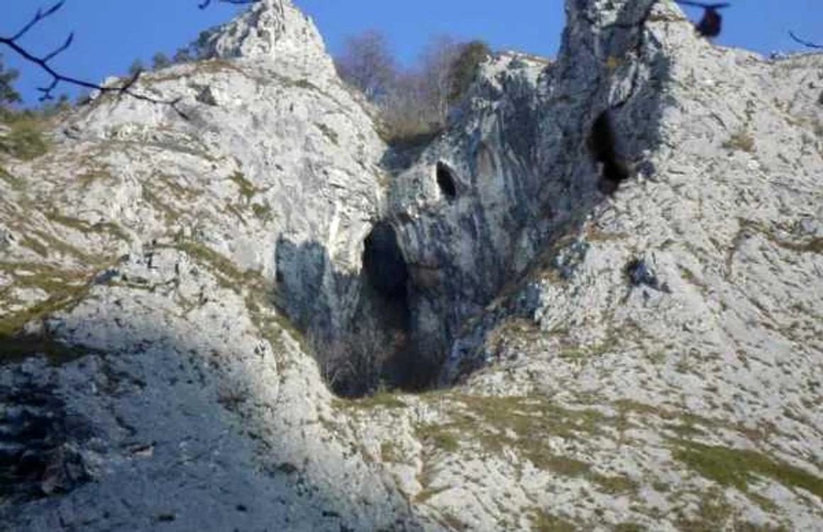 turism apuseni muntele mare