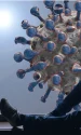 coronavirus jpg