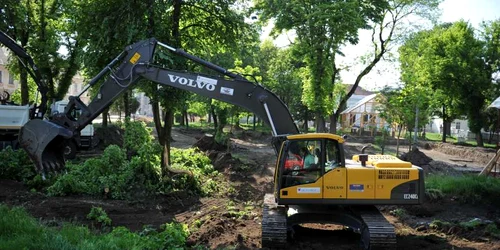 Copaci tăiaţi în parcul Custozza