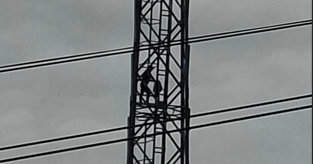 Un bărbat s-a urcat pe stâlpul nocturnei de la stadionul Ceahlăul din Neamț. Este a doua escaladare în 3 zile. Reacția autorităților