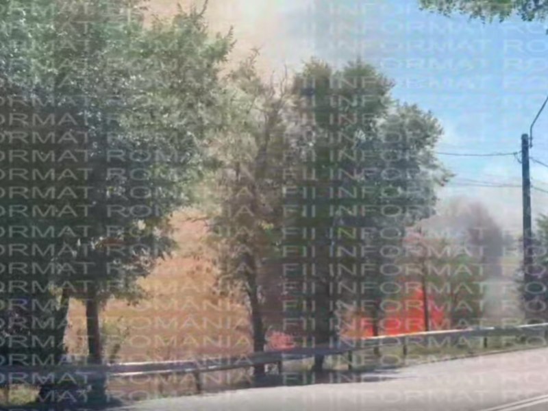 Imagini cu incendiul de vegetație la ieșirea din Brăila. Traficul spre Galați a fost deviat
