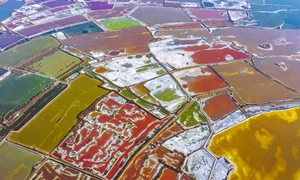 Lac culori  jpg