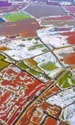 Lac culori  jpg