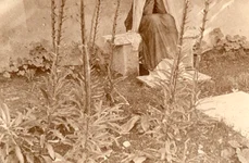 Martha Bibescu (© Arhivele Naționale ale României)