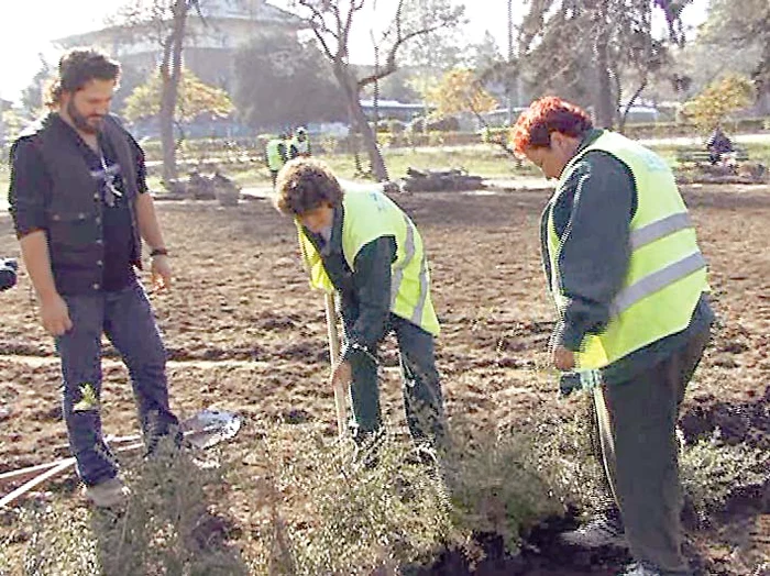 Ploieşteanul are în  subordine spaţiile verzi  din centrul Ploieştiului