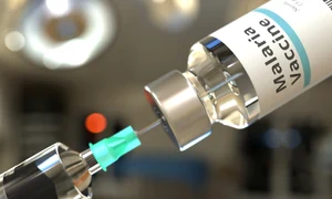 p 7 jpg