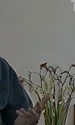 dumitru udrescu captura video jpg