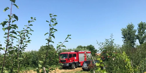 curte bărbat bănuit caracal