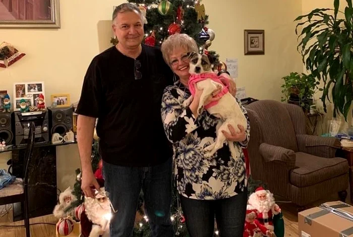 Cățelușa Mia și-a petrecut primul Crăciun alături de noua familie, la Seattle