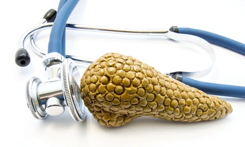 shutterstock 635948291 jpg