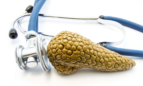 shutterstock 635948291 jpg