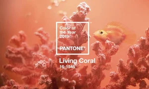 Living Coral este culoarea anului 2019 jpeg