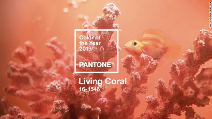 Living Coral este culoarea anului 2019