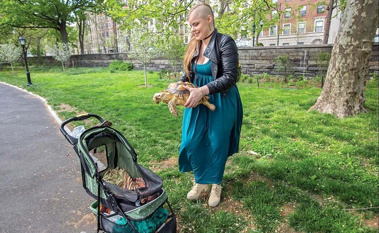 
    Amalia McCallister, de 24 de ani, are o slujbă de vis de când se îngrijeşte de broscoiul Henry de 8 kilograme  