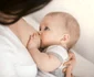 3 alaptare shutterstock 528384532 jpg jpeg