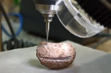 Cercetătorii pot analiza nivelurile izotopice de oxigen pentru a determina în ce perioadă a anului au fost recoltate crustaceele (© ICTA-UAB)