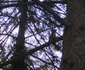 Bucureştenii au dat năvala în parcuri în primele zile de primăvară