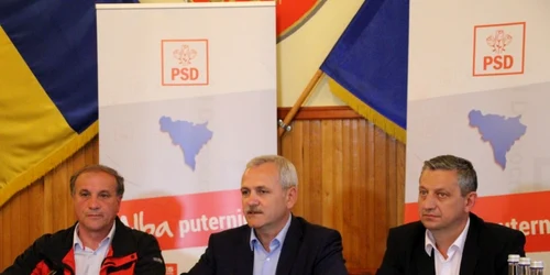 dragnea alba
