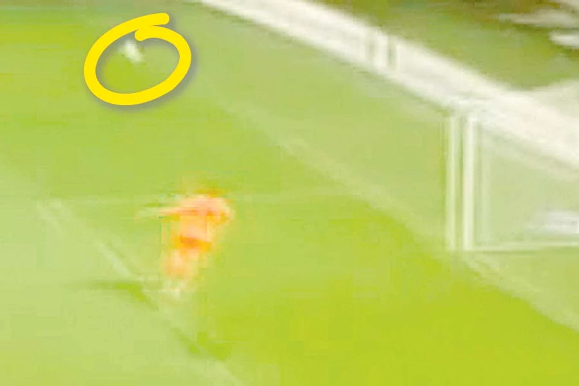 Găman  degajează  spre centru (Capturi: digisport)