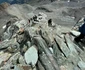 21 delia pe munte trekking 2 jpg jpeg