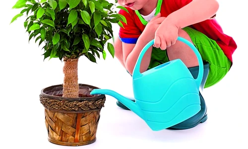 1 50048 original jpg jpeg