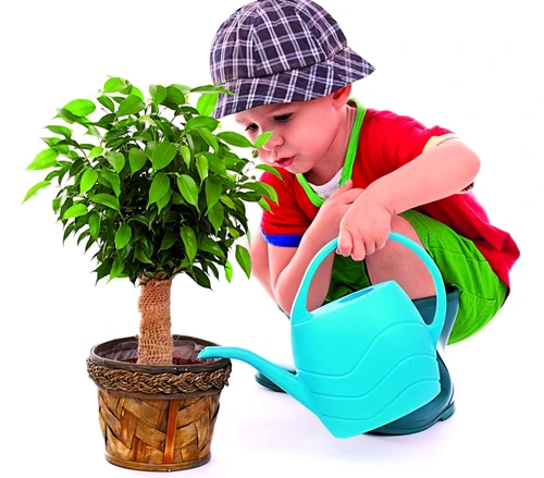 1 50048 original jpg jpeg