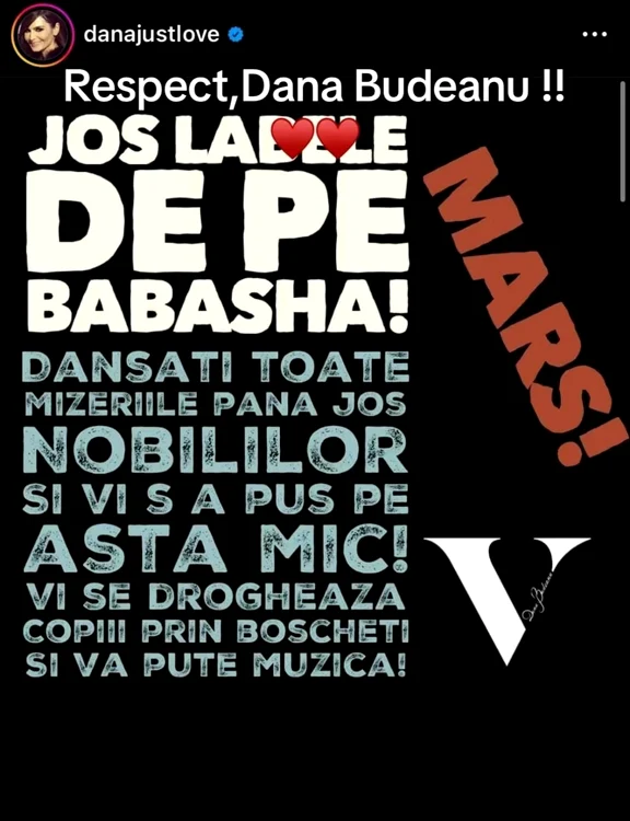 Dana Budeanu, despre Babasha / foto: Captură TikTok
