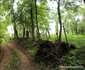 Valea Geoagiului Foto Daniel Guță ADEVĂRUL (18) JPG