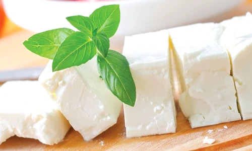 1 branza si beneficiile ei de ce e buna 1 jpg jpeg