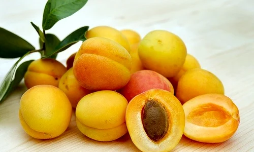apricots 2523272 640 0 jpeg