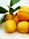 apricots 2523272 640 0 jpeg