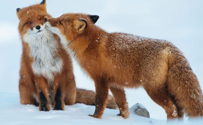 E supărată, dar îi trece cu un pupic