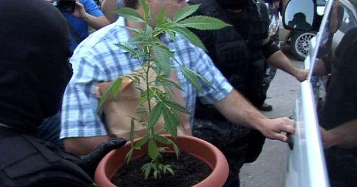 Percheziții în Buzău