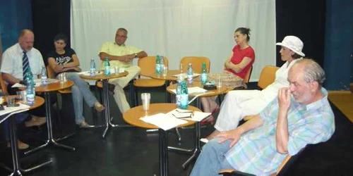 Membrii Consiliului Artistic s-au întrunit azi