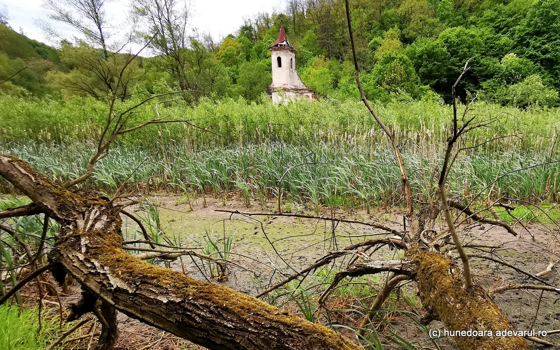 Lacul Cincis din Hunedoara  Foto Daniel Guță ADEVĂRUL (113) jpg