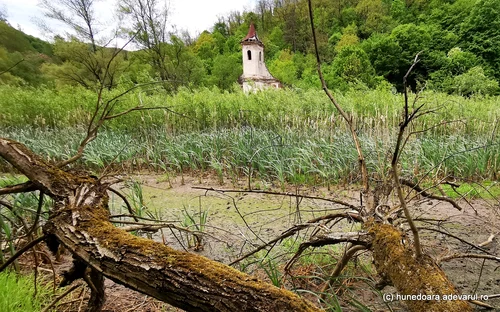 Lacul Cincis din Hunedoara Foto Daniel Guță ADEVĂRUL (113) jpg