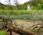 Lacul Cincis din Hunedoara  Foto Daniel Guță ADEVĂRUL (113) jpg
