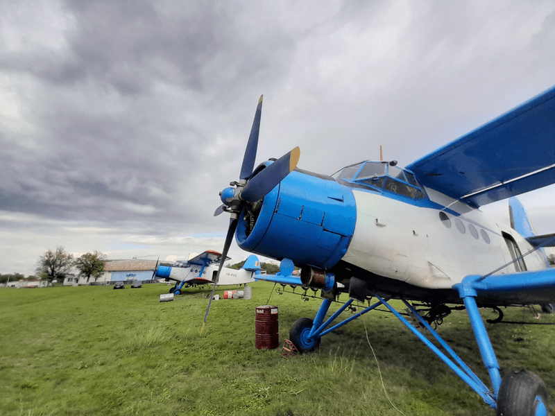 Operațiunea Țânțarul cu bătrânul An-2. „Annuska”, în luptă cu insectele din Timișoara