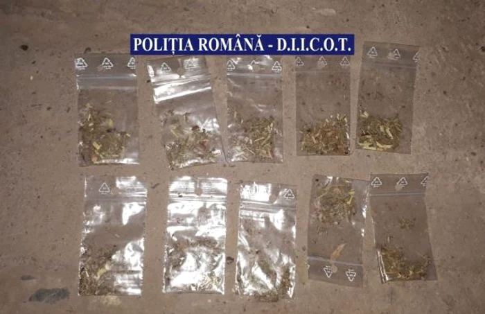 Fragmente vegetale, confiscate de poliţişti FOTO IPJ Călăraşi