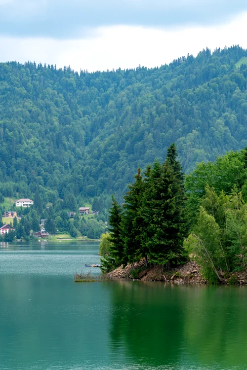 Colibita FOTO Shutterstock
