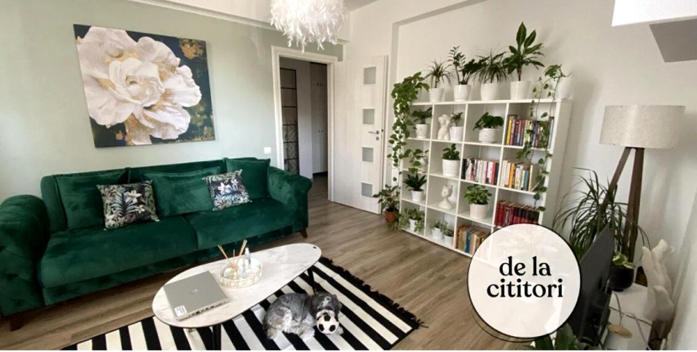 amenajare lovedeco