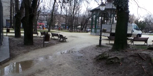 alei gradina publica