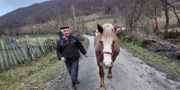 Satul Runcu Mare din Hunedoara  Foto Daniel Guță  ADEVĂRUL (104) jpg