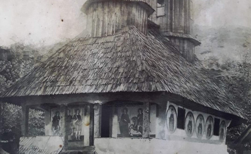 Însemnări pregătitoare pentru o sperată „Cronică de familie”