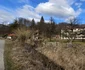 Câmpul lui Neag, Hunedoara Foto Daniel Guță ADEVĂRUL (56) jpg