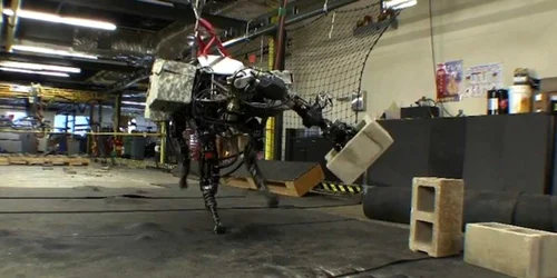 big dog robot pentagon