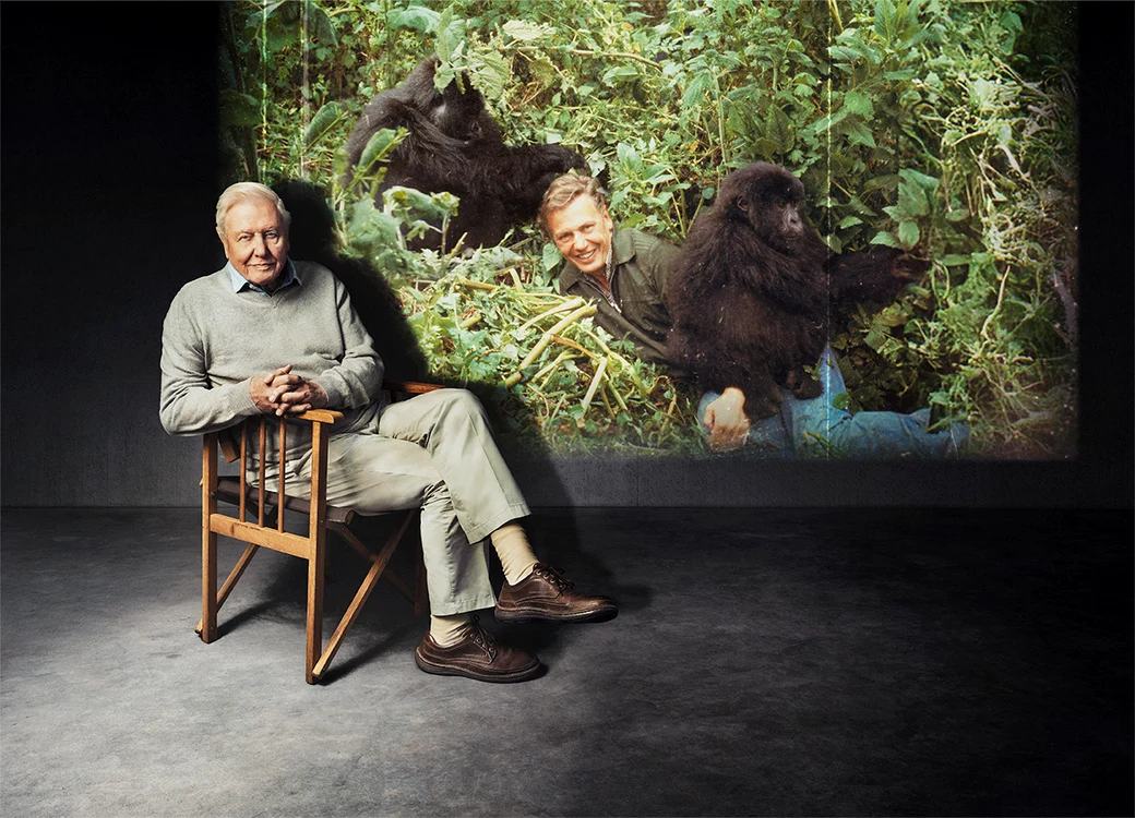 Primul episod al seriei „Life on Earth“ a apărut în 1979. FOTO: BBC